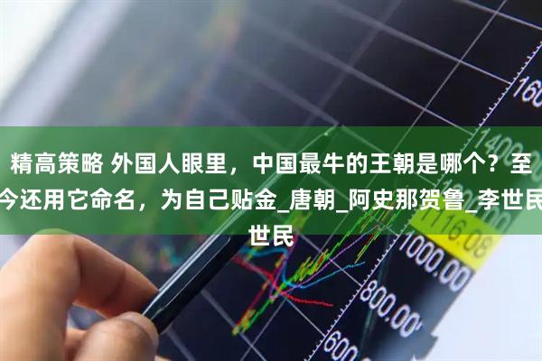 精高策略 外国人眼里，中国最牛的王朝是哪个？至今还用它命名，为自己贴金_唐朝_阿史那贺鲁_李世民